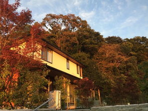 和风不只是町屋 京都民宿的非典型美学